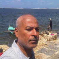 Mohamed Hamed