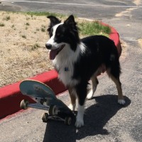 Rocky Ponciano