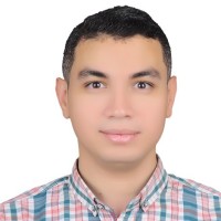 Amir Mamdouh