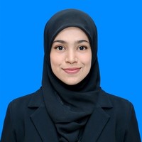 Dina Novel