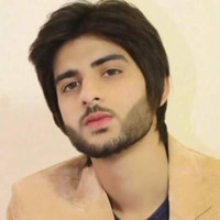 Shahid Mehmood