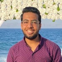 Mohamed Atef