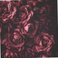 أماني الراشد