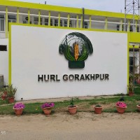 Mohd Mahreyar