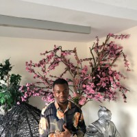 Favour Titus