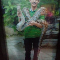 HUSAIN SULAIMAN