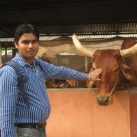 Dhiraj Giri