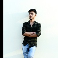 Kritik Pal