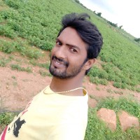 D Shafi