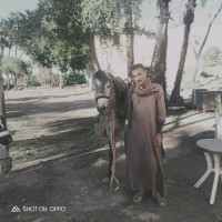 مصطفى ناصر