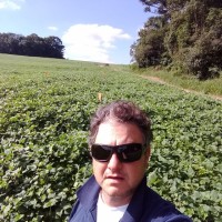 Carlos André Olivetti