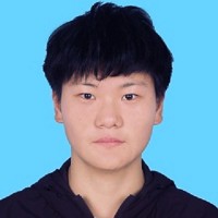 Wenfei Huang