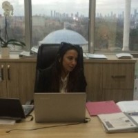 Elif Akın