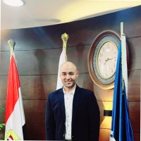Adel Hassib Aboushady