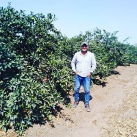 Jose Luis Hernandez Castillo