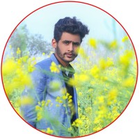 zain ul islam