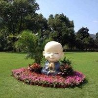 彭丽红