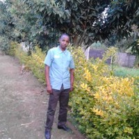 Yona Mbise