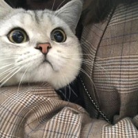 吴欣玮