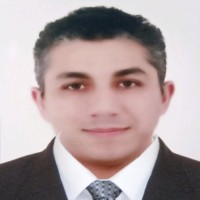 Mohammed Salah Eldin