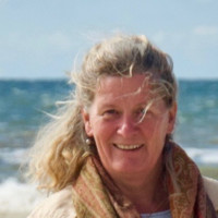 Eveline H. Van Veen