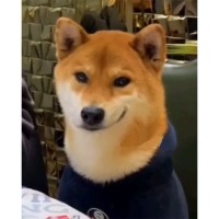 何川海