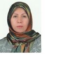Maryam Elmi