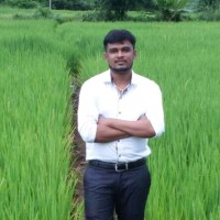 Mangesh Gurav