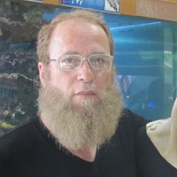 Mahmoud Dabash