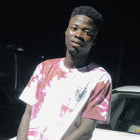 Adedayo S. Olatunde