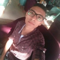 Asem Mohamed Abdel-Aziz Hussien