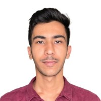 Ankush Balbir Singh Malik