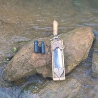 Trương Đình Quý