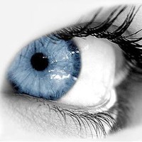 Executive Assistance