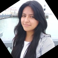 Leslie Karol Torres  Avellaneda