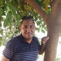 Ahmed Aly