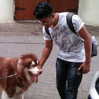 Pratyush Gaikwad
