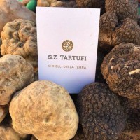 S.Z. Tartufi