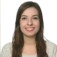 Sedem Demir