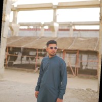 Ali Zaidi