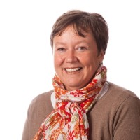 Ann Vingerhoets