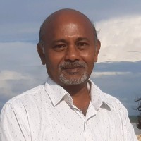Saumitra Sarkar