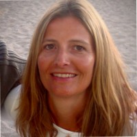Dina Stein