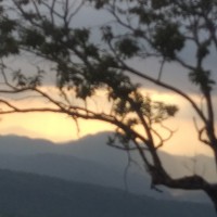 Rakshitha Ponnamma Ponnamma