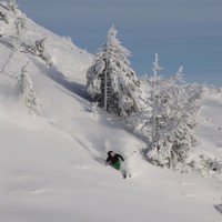 Tore Korsnes