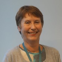 Kari Eibak