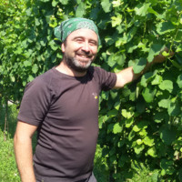 Valerio Mazzoni