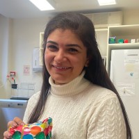 Ayat El Kerdawy