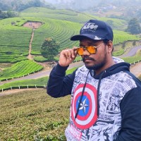 Ansari Raja