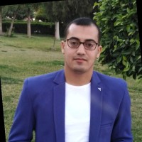 Amr Abd El Aaty